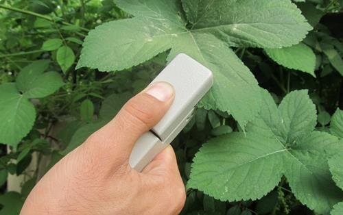 YWC植物叶片温差测量仪